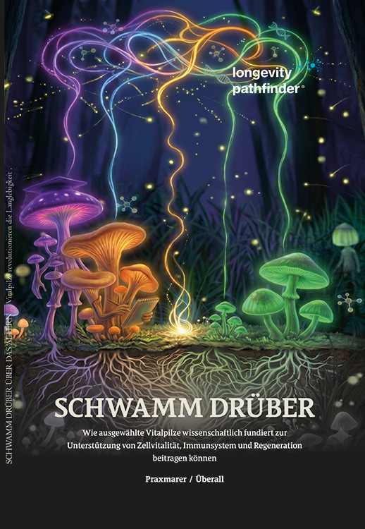 Buchcover schwamm dr&uuml;ber